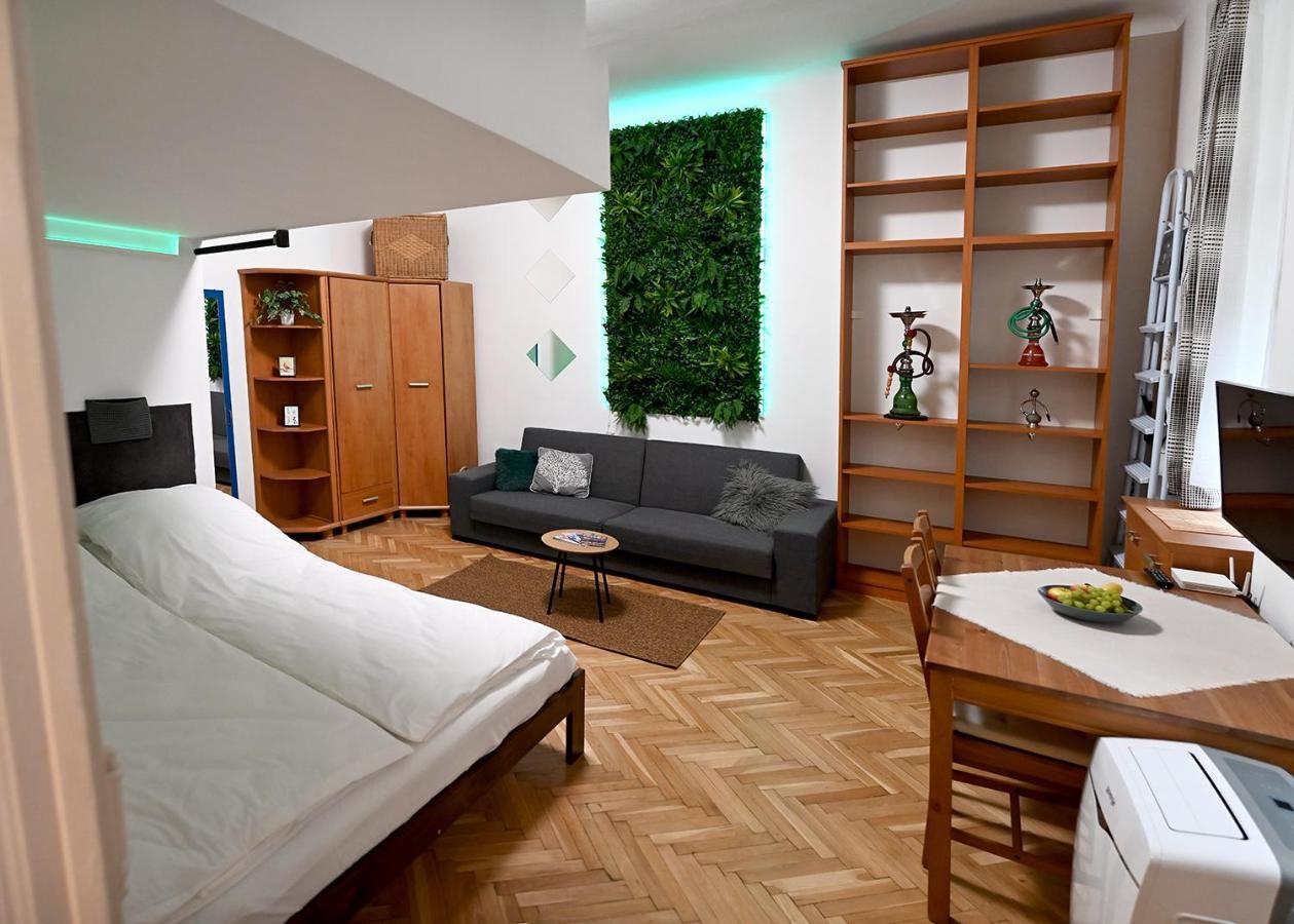 Raday 41 Apartment *